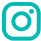 ig-icon