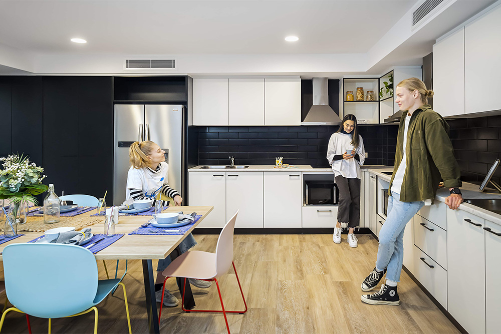 Students gathering in shared apartments