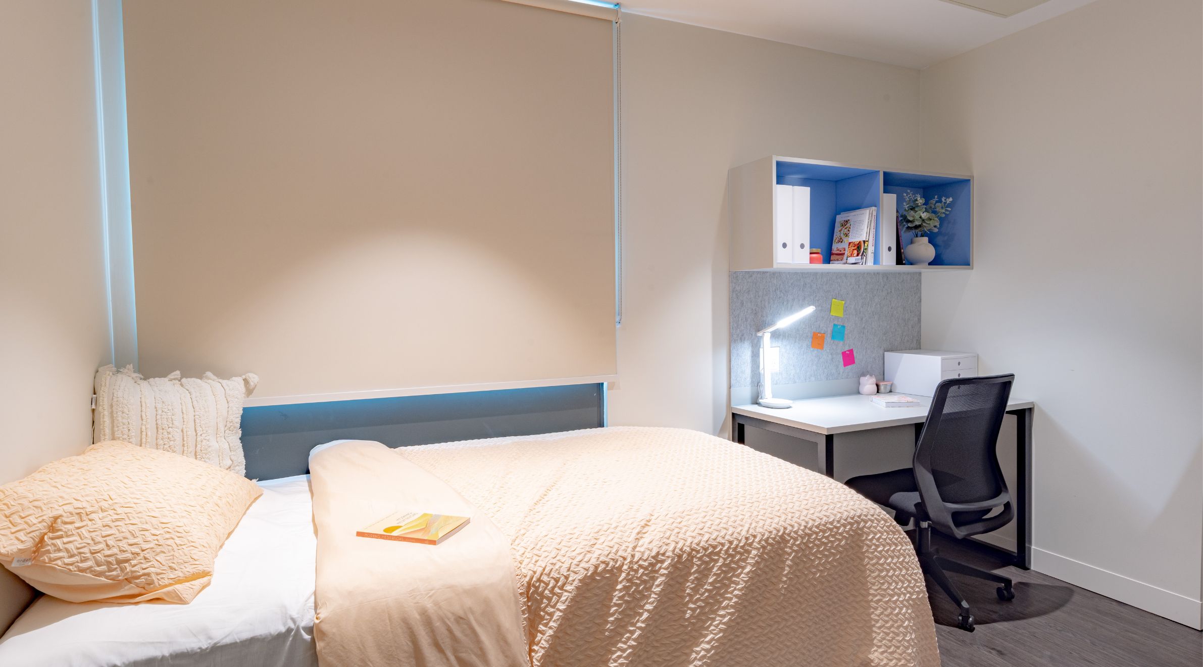 Y Suites on Gibbons Room