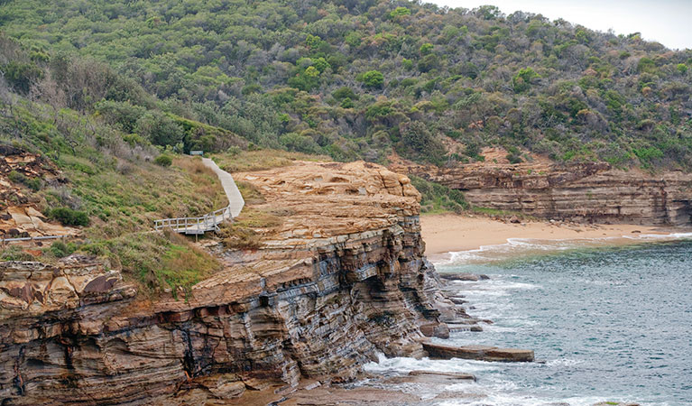 Bouddi Coastal Walk