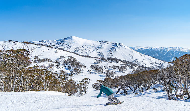  backdrop of the Snowy Mountains
